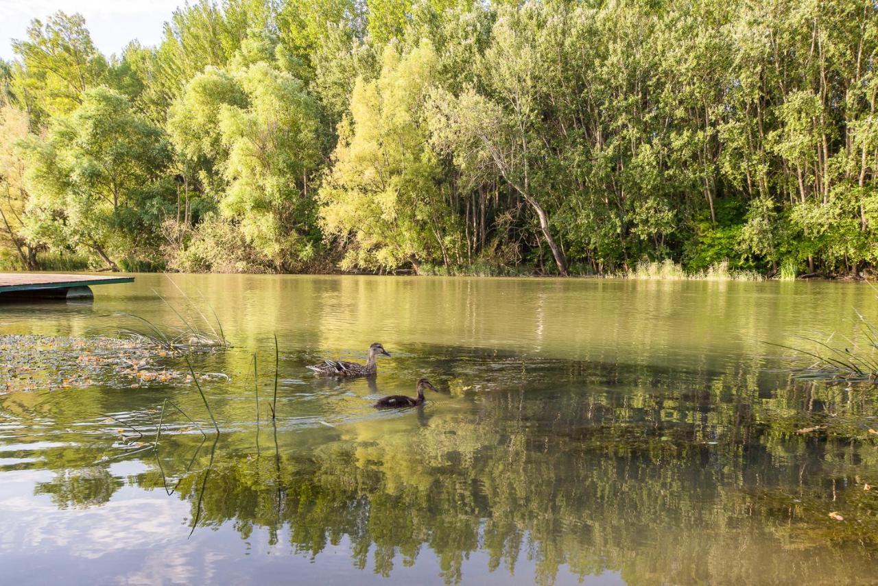 Regia Panzió Halászi Zewnętrze zdjęcie